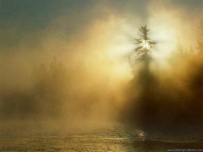 Природа