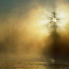 Природа