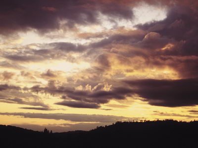 Природа