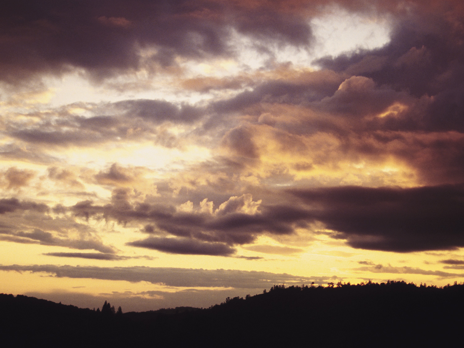 Природа