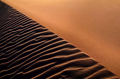 Природа