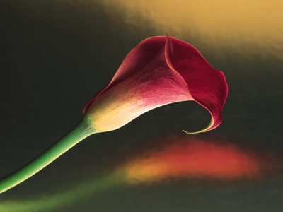Природа