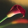 Природа
