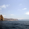 Природа южного берега Крыма