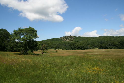 Природа южного берега Крыма