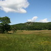 Природа южного берега Крыма