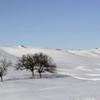 Зима красавица