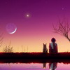 Сказочные обои