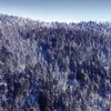Подборка абстракций и не только