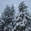 Новогодние обои