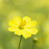 Красивая природа для рабочего стола