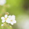 Красивая природа для рабочего стола