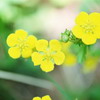 Красивая природа для рабочего стола
