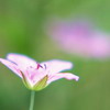 Красивая природа для рабочего стола