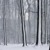 Красивые обои