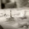 Коллекция обоев