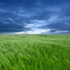 Обои с красивой природой