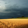 Обои с красивой природой