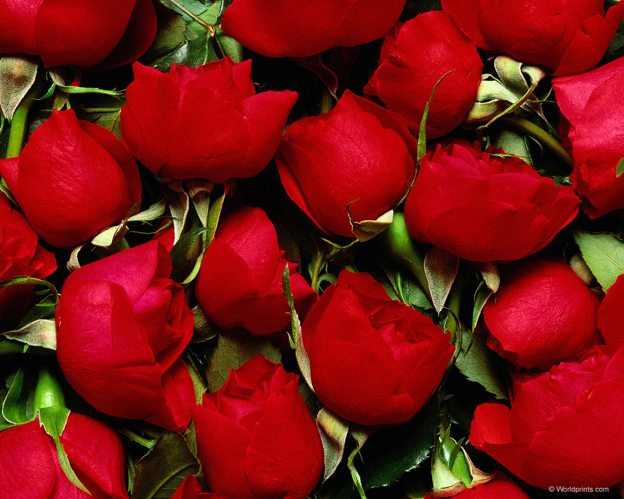 Красота на рабочий стол