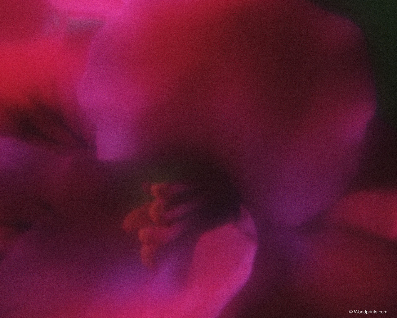 Готовимся к 8 марта