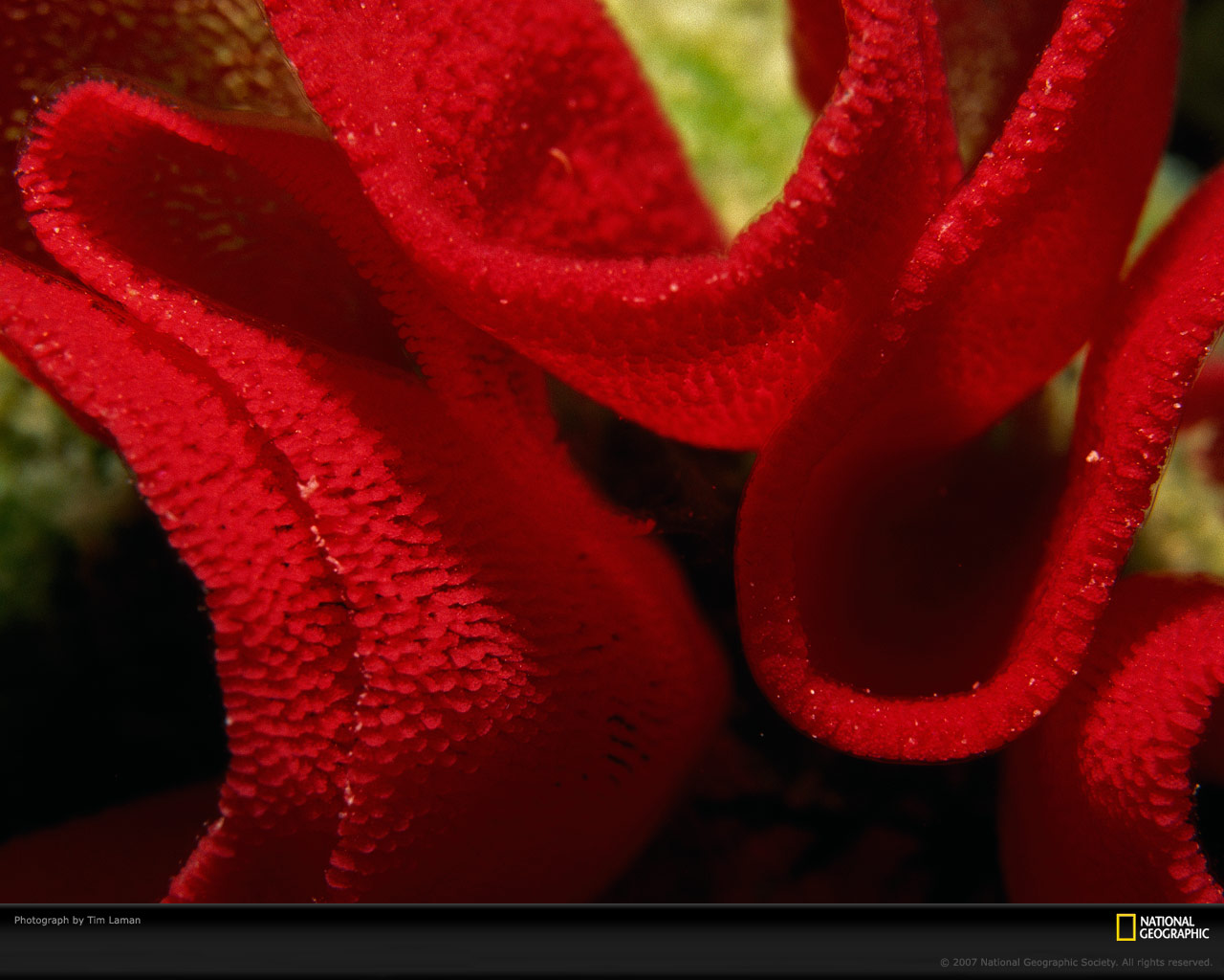 Подводный мир