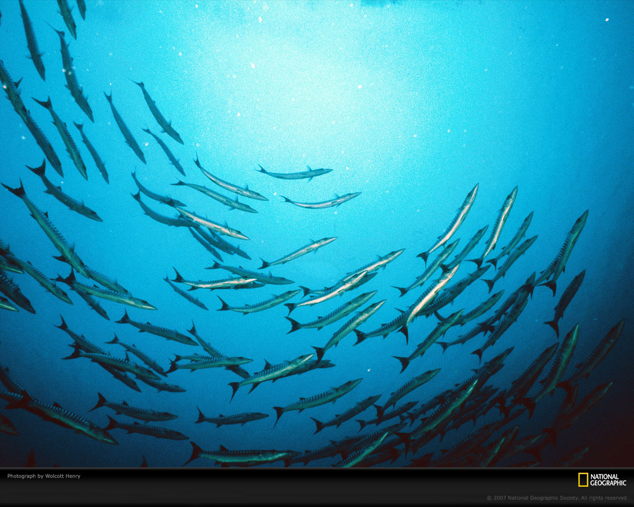 Подводный мир