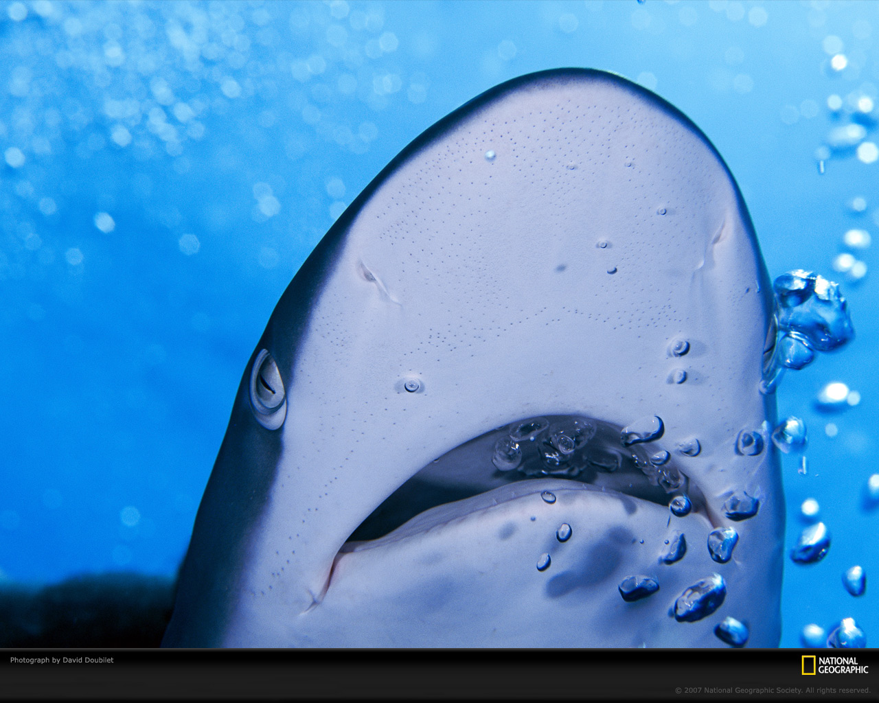 Подводный мир