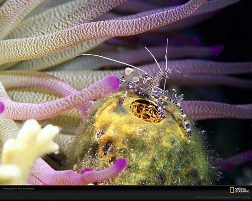 Подводный мир