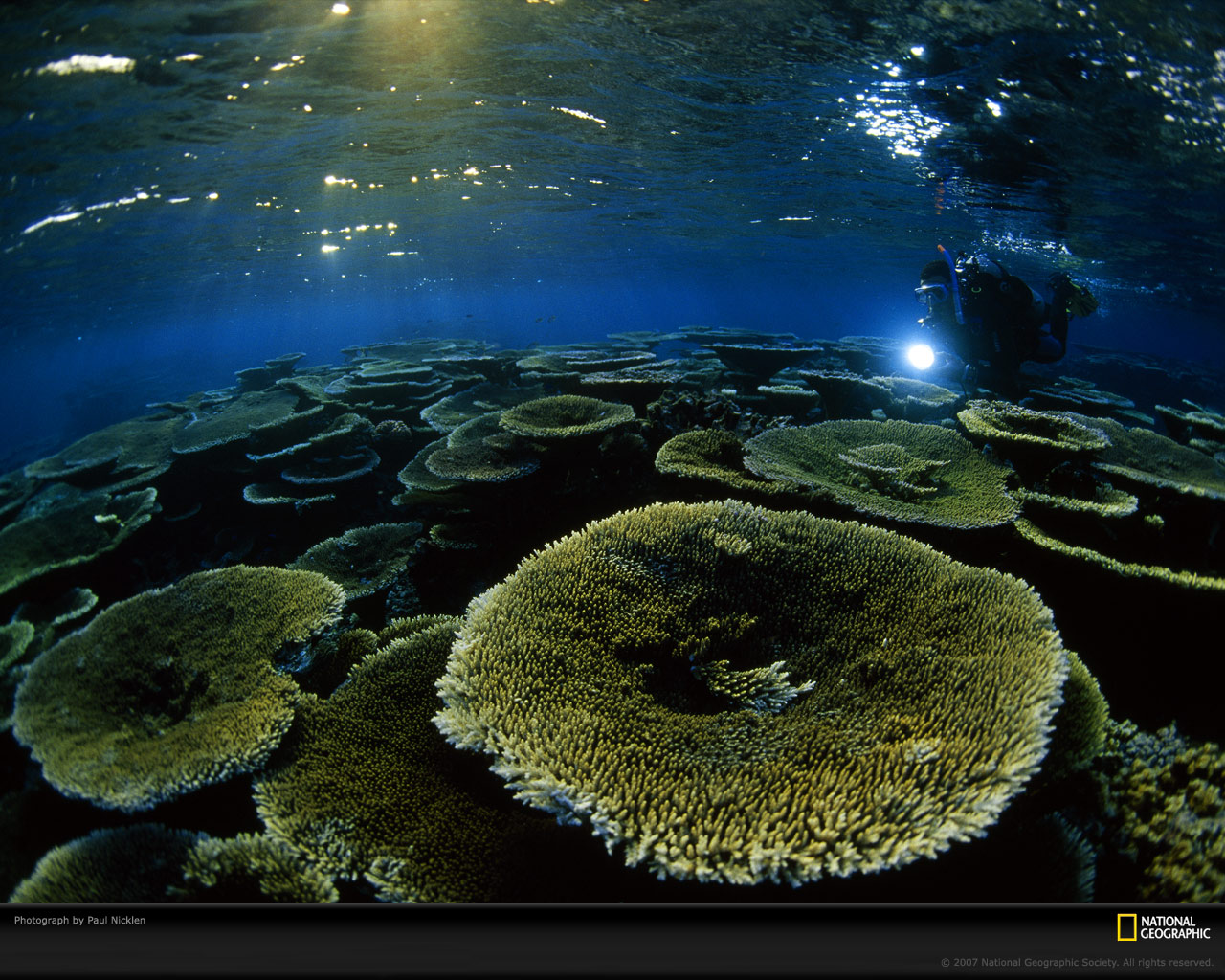 Подводный мир