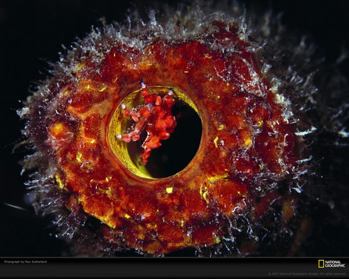 Подводный мир