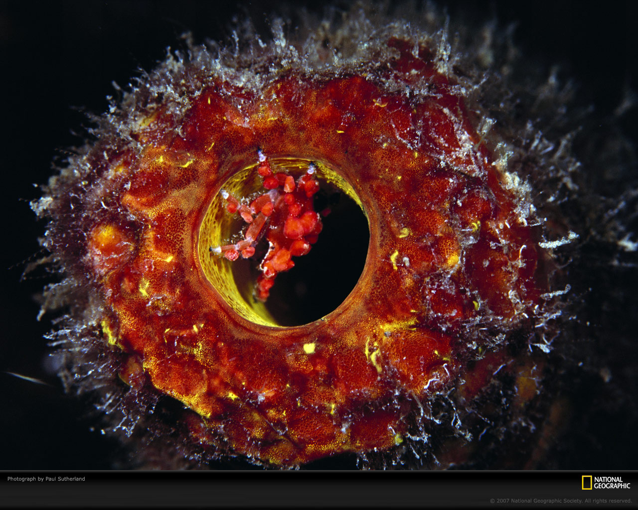 Подводный мир