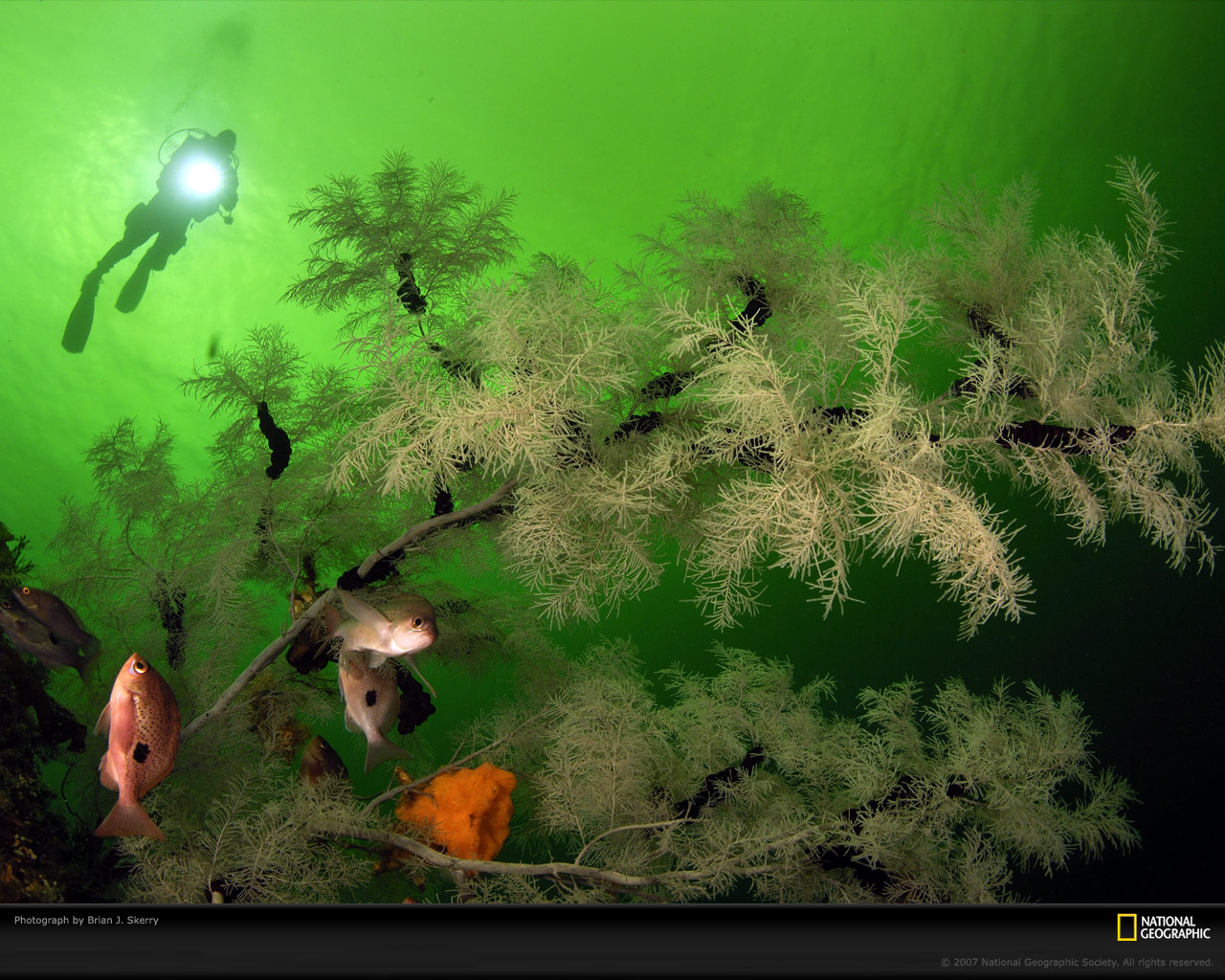 Подводный мир