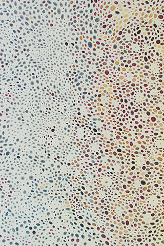 Обои для вашего iPhone