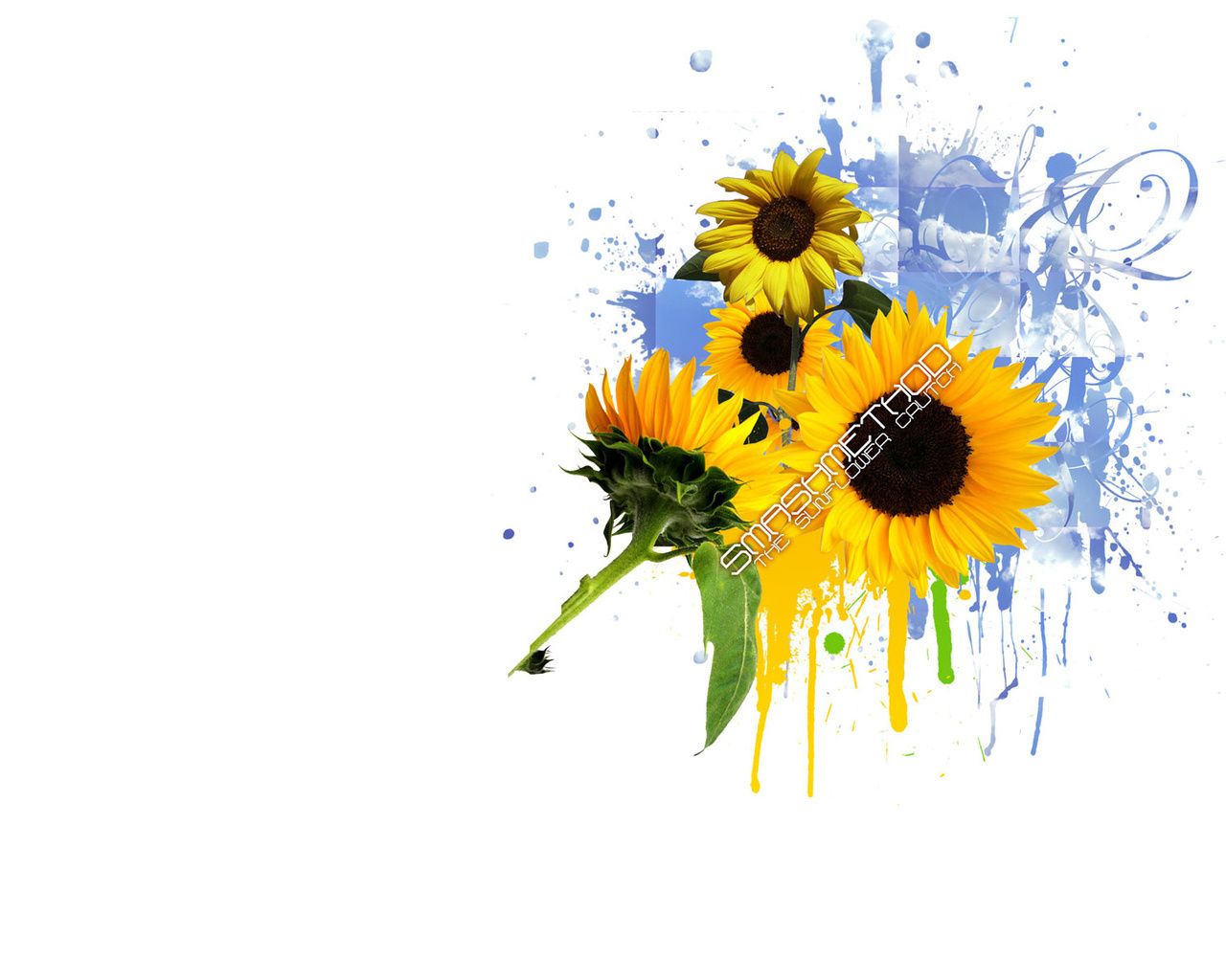 Несколько симпатичных обоев