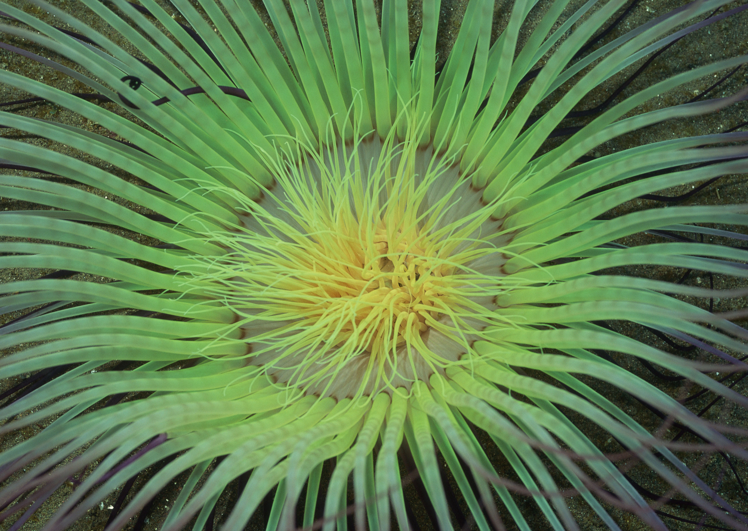 Подводный мир