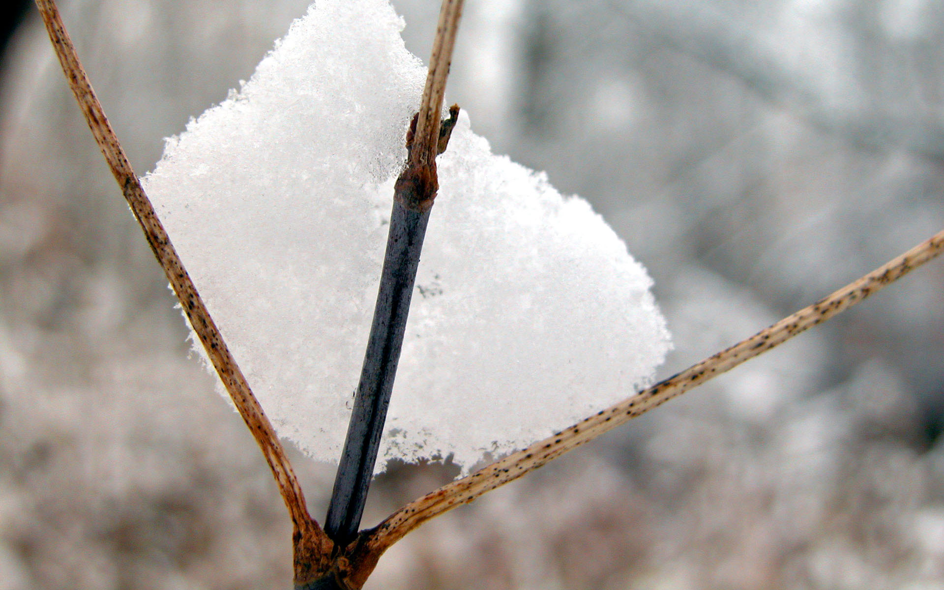 Всякие разные обои
